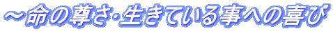�`���̑���������Ă��鎖�ւ̊��